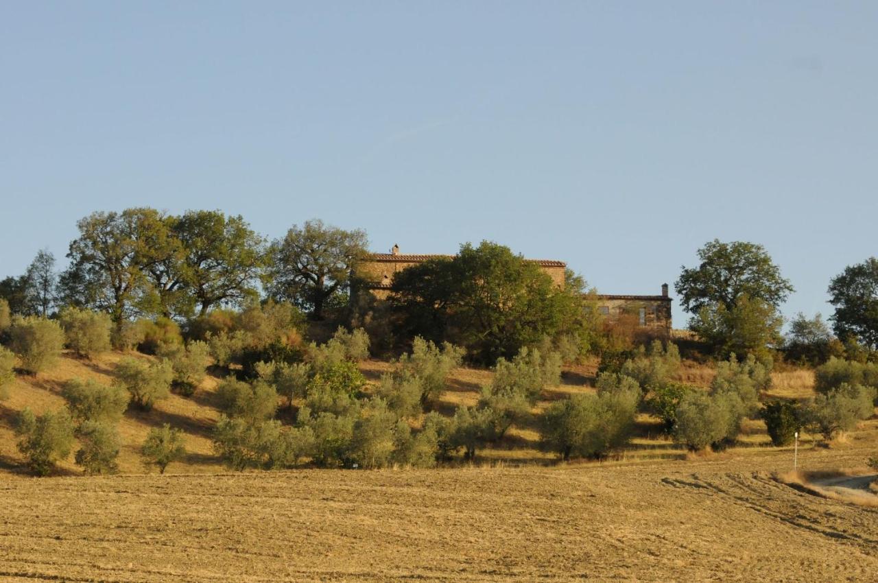 Podere Palazzo Castiglione d'Orcia Exterior photo
